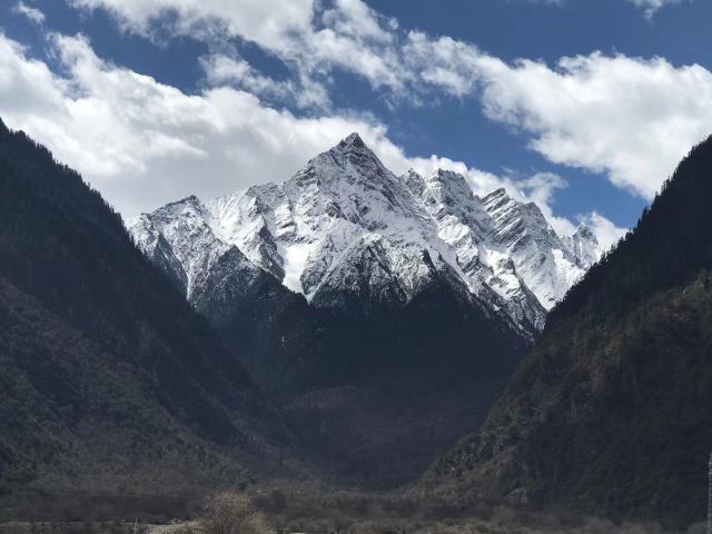 嘎拉桃花源旅行图片 3