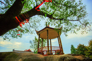 郎溪游记图文-好景不私藏|绿茶之乡 郎溪“秘境”周末两日游