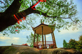 好景不私藏|绿茶之乡 郎溪“秘境”周末两日游