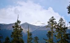 色季拉山-林芝-轻轻的一个蚊