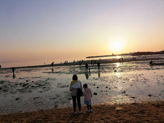 威海荣成旅游简记:成山头的日出,海驴岛的海鸥,神雕山的动物,哪个转角能让你邂逅惊喜