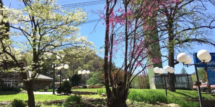 美國國家衛生與醫學博物館