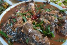 老王婆大锅鱼美食图片