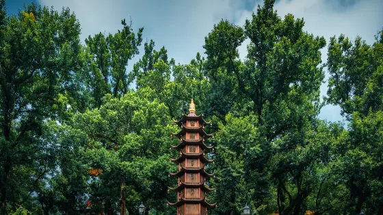 溫嶺江廈森林公園