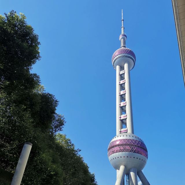 滨江大道旅行图片 3