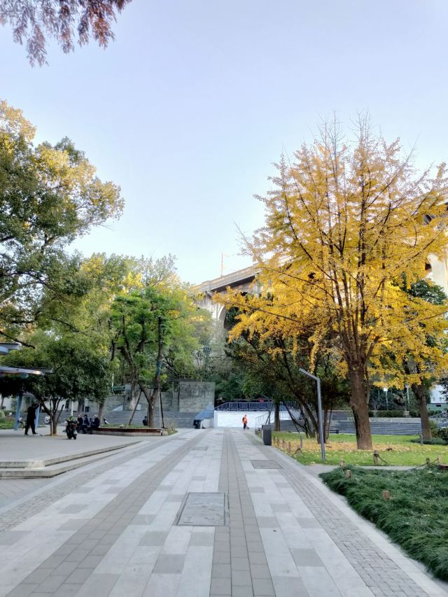 汉阳门花园旅行图片 2