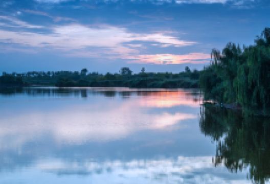 嘉丽泽湿地景点图片