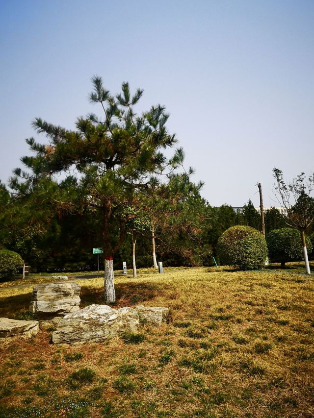 唐昭容上官氏公园旅行图片 9
