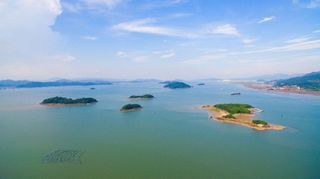 宁波五一去哪玩？春日一个不容错过的美景，超美海岛！