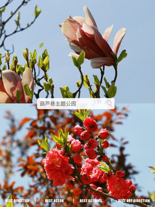 青岛葫芦巷主题公园旅行图片 6
