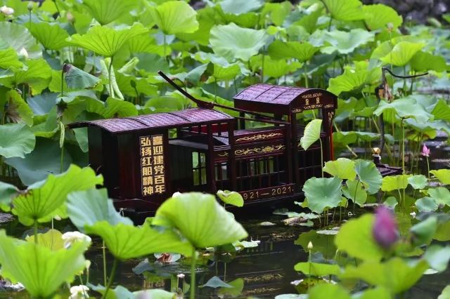 黄兴公园旅行图片 3