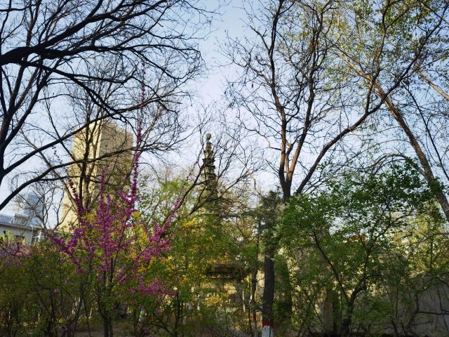 文瀛公园旅行图片 6