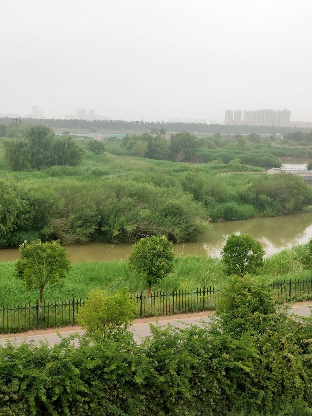 灞渭生态滩区旅行图片 3