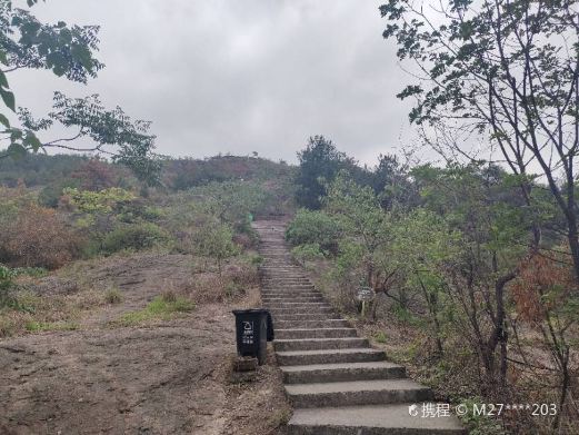 南山公园