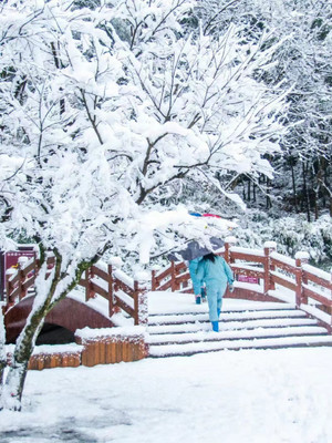 宁波下周又将出现零下温度,相约去四明山看绝美雪景!