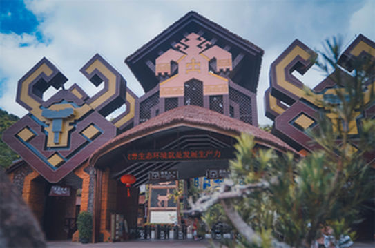 冬天,我为什么要去海南?