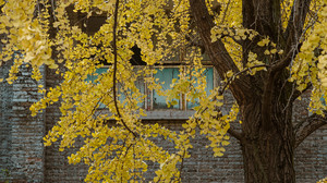 高坪区游记图文-山水之间，相遇南充