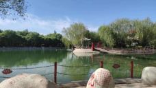 肃州植物园-酒泉-M49****9517