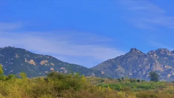 崮山