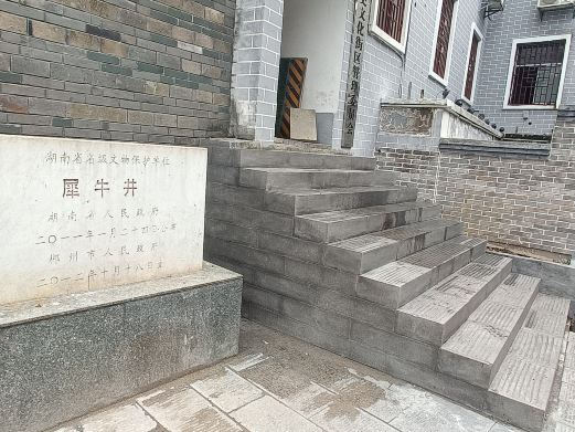 犀牛井