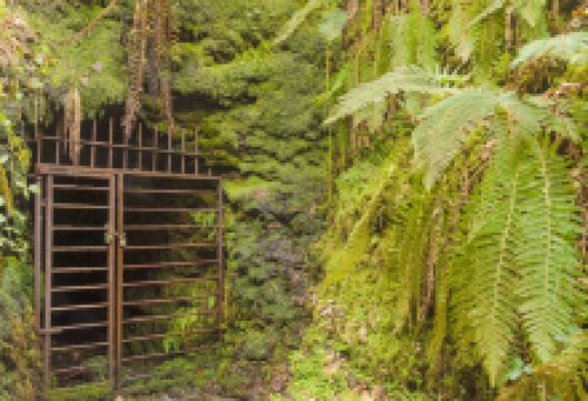 莱福德峡谷景点图片