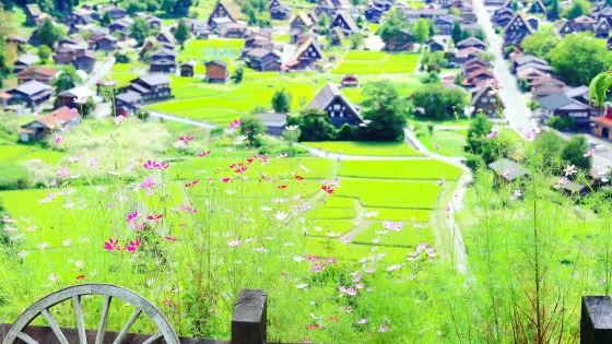 荻町城跡展望台