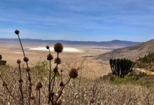 Ol Kinyei Conservancy景点图片