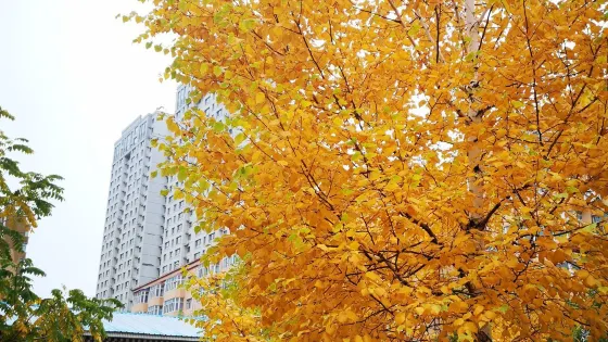 雨亭國家城市濕地公園