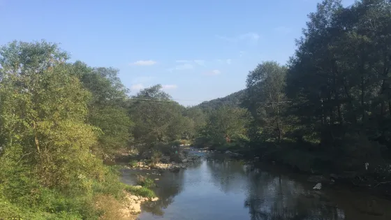 龍眠山