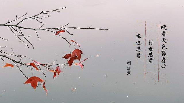枫瑟姑苏冬,鳜鱼觅仁松 - 天平山赏枫行