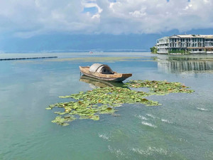 洱海游记图文-云南是一个令人向往的地方