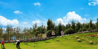 崇明岛玩乐地推荐，小伙伴们快行动吧！