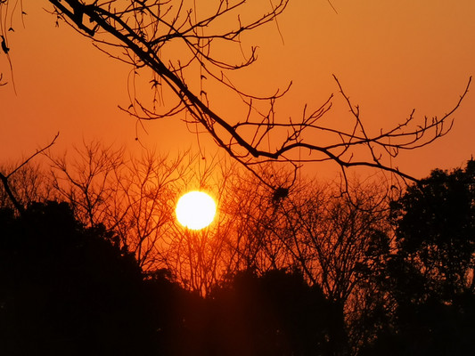 西溪湿地夕阳西下之美，与众不同