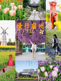 宿州游记图片] 五一小长假去哪儿玩？来安徽宿州植物园赏花，郁金香开得正好