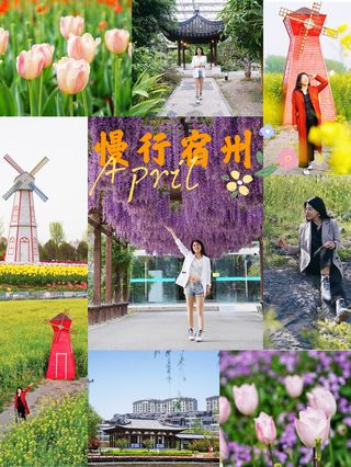五一小长假去哪儿玩？来安徽宿州植物园赏花，郁金香开得正好