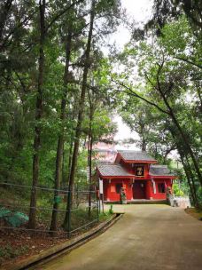 五凤山森林公园-简阳-cdgole