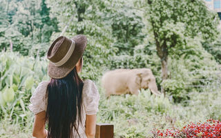 花式过六一,在宁波雅戈尔和动物们的嗨皮大狂欢
