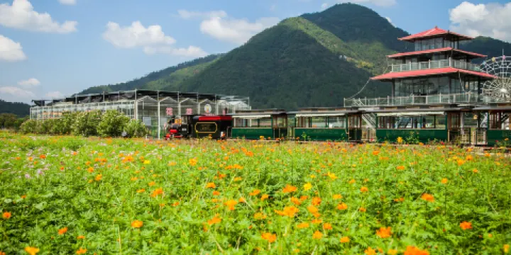 縉雲縣筧川花海