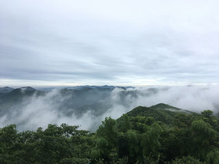 逃离梅雨天，宜兴两日游