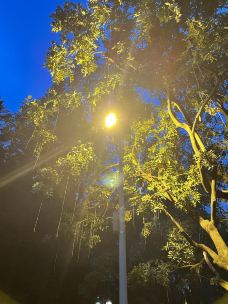 珠江公园-广州-266235236