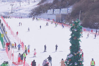 可可带你体验魅力天府之国