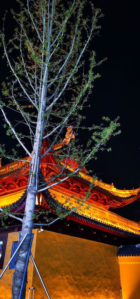 玄妙观旅行图片 4