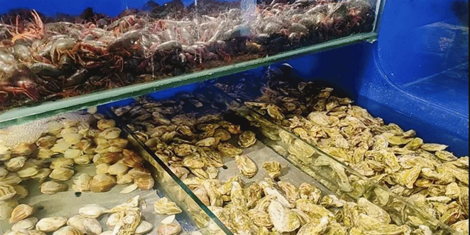 Alps Pizza Steak Buffet (National Exhibition Branch)