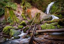 Coal Creek Trail景点图片