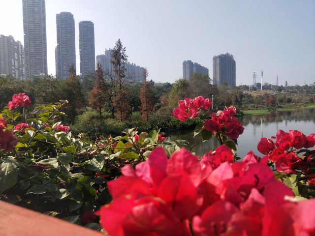 那考河湿地公园旅行图片 9