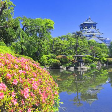 日本大阪+京都+鸟取+奈良+北荣町6日5晚私家团