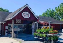 Weber's Cider Mill Farm Inc景点图片