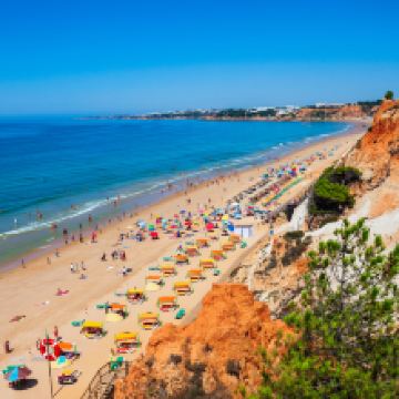 阿尔布费拉图片