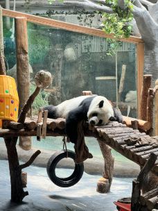 西宁熊猫馆-西宁