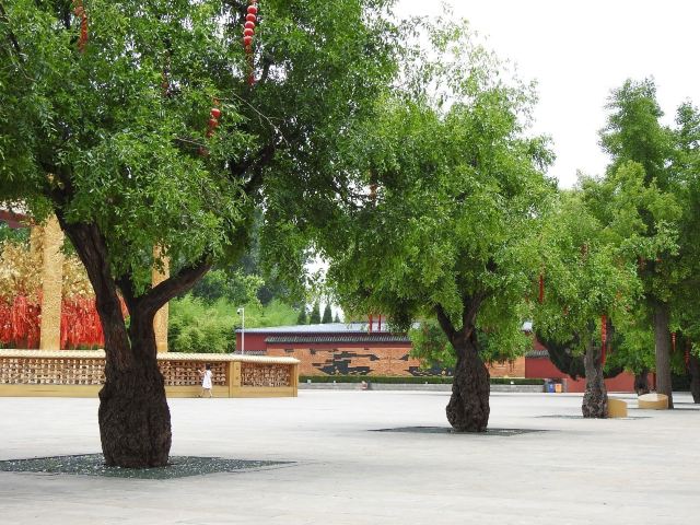 黄帝故里旅行图片 8